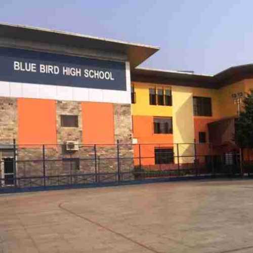 Blue Bird High School Panchkula, Gurgaon - Uniform Application 2