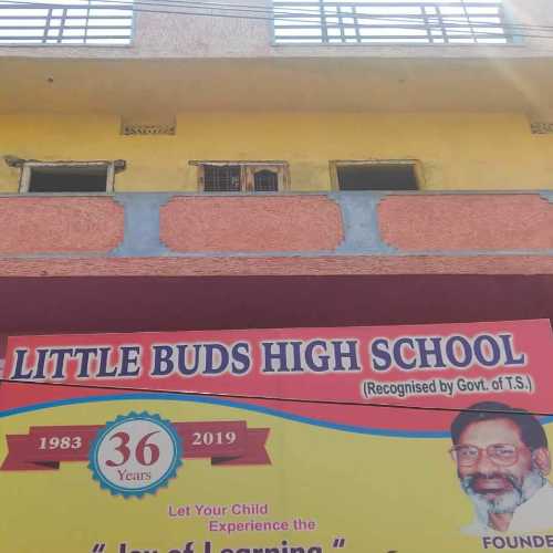 Little Buds Grammer High School, Hyderabad - Uniform Application 2