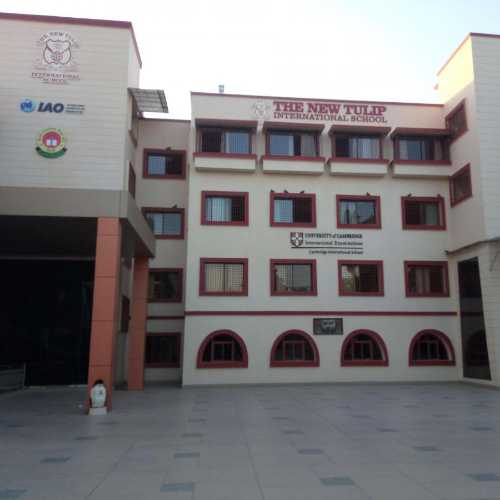 The New Tulip International School  , Ahmedabad - Uniform Application