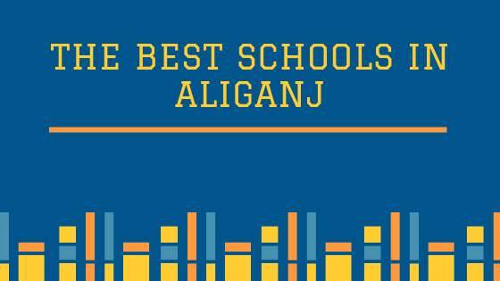 Best Schools in Aliganj