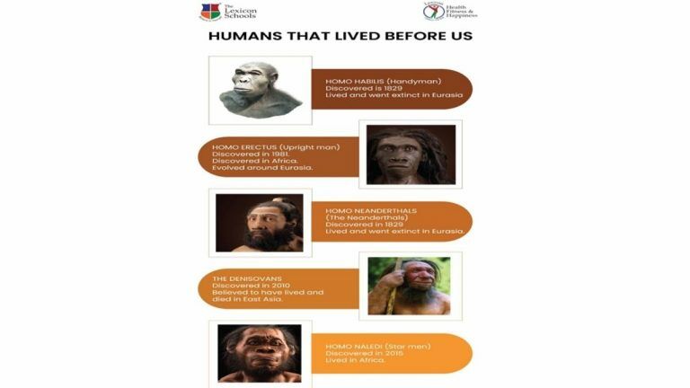 humans-that-lived-before-us-uniform-application